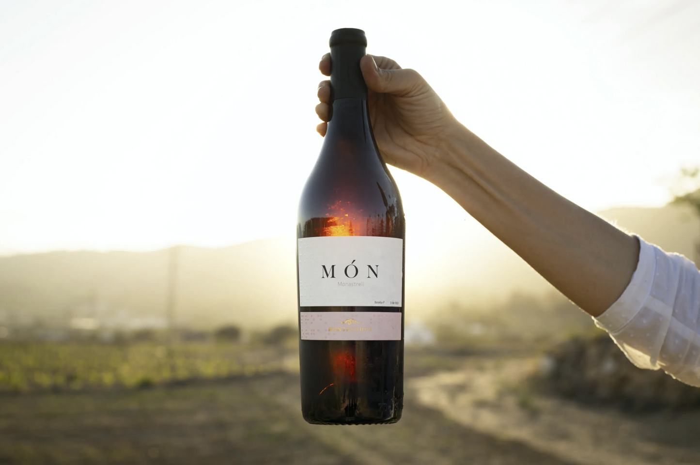 Montesanco MÓN Monastrell 2025 (750ml)